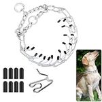 Metal Choke Chain for Dog,BAIYSFFG Durable Thick Prong Collars for Pet Outdoor Training,Anti Bark Collars for Dogs,Small Medium Large Puppy Adjustable Silver Necklace,Dog Chain Collar(S)