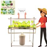 City Greens Full Spectrum 24 Planter Hydroponic Indoor Kit for Homes, Offices, Small Spaces | 3 Full Spectrum (White Lights) - Smart Farming.