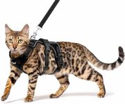 PUPTECK Cat Harness and Leash Set E