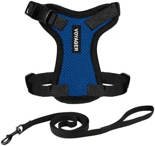 Voyager Step-in Lock Adjustable Cat Harness w. Cat Leash Combo Set with Neoprene Handle 5ft - Supports Small, Medium and Large Breed Cats by Best Pet Supplies - Royal Blue/Black Trim, XXS