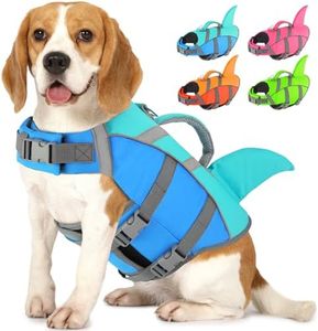 Doglay Dog