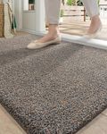 DEXI Dirt Trapper Door Mat, Non-Sli