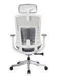 NXTGEN MISURAA Imported High Back Ergonomic Office & Home Chair with Advanced Synchro Tilt Mechanism, Mesh Seat & Back, Lumbar Support, Adjustable Seat Depth, Arms & Headrest (Leon, White)