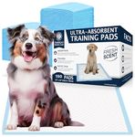 AKC 150-Pack Training Pads in a Box