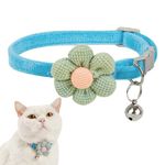 Coach Cat Collar