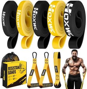 HOXWC Resistance Bands, Heavy Duty Pull Up Resistance Band with Door Anchor, Handles, Exercise Bands for Working Out Men&Women, Ideal for Pull Up, Muscle Training, Physical Therapy, and Home Workouts