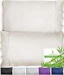 BAMPURE Cooling Pillow Cases Queen Size Set of 2-100% Viscose derived from Bamboo Cooling Pillow Cases for Hot Sleepers - Envelope Closure - Super Soft Queen Pillow Cases Set of 2 (20x30, Ivory)