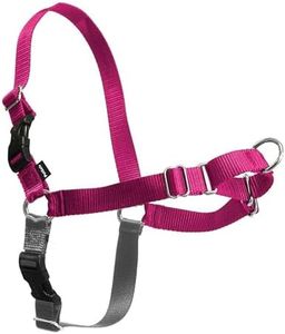 PetSafe Ea