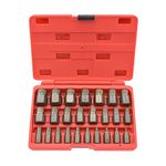 Neiko 04204A Hex Head Multi-Spline Screw and Bolt Extractor 25-Piece Set | 1/8” to 7/8” by 1/32” Increment