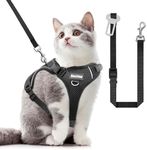 Cat Harness and Leash for Walking, 
