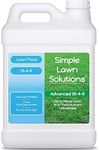 Advanced 16-4-8 Lawn Fertilizer - Liquid Lawn Food Spring & Summer Concentrated Spray - Any Grass Type- Fish and Seaweed Kelp- Balanced NPK - Simple Lawn Solutions (2.5 Gallons)