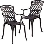 Withniture Outdoor Patio Bistro Chairs Cast Aluminum Patio Furniture, Metal Patio Chairs Set of 2 with Armrests, All Weather Outdoor Dining Chairs,Patio Seating,for Garden, Bronze