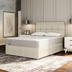 Sealy Eaglesfield Memory Ortho Plus Mattress