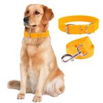 AIK India Nylon Dog Belt And Leash For Large Dogs, Adjustable Dog Collar For Large Dogs And Leash For Dogs Labrador, Golden Retriever, German Shepherd, Husky, Doberman Yellow,Large,55.88 cm,W_3.17 cm