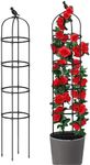 Garden Trellises for Climbing Plant