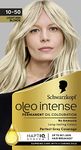 Schwarzkopf Oleo Intense Permanent Oil Colour 10-50 Light Ash Blonde Hair Dye, Perfect Grey Coverage, Conditioner with HaptIQ System, Long-Lasting Colour, Ammonia Free Hair Dye