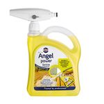 Nilco Angel Power Decking Cleaner & Foam Gun, 2L