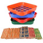 ESSENTIAL Coin Sorters Tray, 4 Color-Coded Coin Sorting Tray with 160 Assorted Coin Roll Wrappers