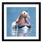 ZZFQXZ 40x40 Diamond Painting Picture Frame with Mat, 18x18 Diamond Art Frames, Display Pictures 16x16inch/40x40cm With Mat or 18x18inch/45x45 cm without Mat Diamond Painting Wall Photo Frame Wood Black (ZK007)