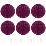 sourcing map Paper Pom-Poms Flower Balls 8 Inch Paper Tissue Flower Balls for Party Flower Decoration Wedding Birthday Home Decoration Pack of 6,Wine Red