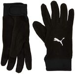 PUMA TeamLIGA 21 Winter Gloves