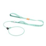 HOWGO Dog Slip Lead Dog Leash,Training Leash,Cinch Leash, No-Pull Slip Leash and Collar,Heavy Duty&Durable,Padded Handle,for All Breeds(MintGreen, 5FT)