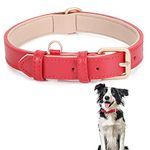 JASGOOD Classic Red Faux Leather Dog Collar for Small Medium Large Dogs Soft Neoprene Padded Adjustable Pet Collars Heavy Duty Dog Collar,48cm