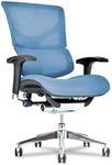X Chair Office Desk Chair (X3 Blue 
