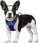 rabbitgoo Dog Harness, No-Pull Pet 