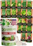 HOME GROWN 10,000+ Heirloom Lettuce Seeds for Planting Indoors - 95% Germination, Non-GMO Greens Seeds, (20 Varieties): Kale, Spinach, Butter, Oak, Romaine Bibb & More - Lettuce Seeds for Hydroponic