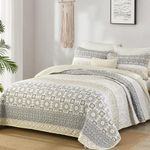 WONGS BEDDING Boho Quilt Set Queen Size,Beige Bohemian Striped Patchwork Summer Bedspread Set,3 Pieces Microfiber Bedding Set for All Seasons (90"x96")