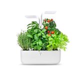 VERITABLE Classic Indoor Garden for Fresh Herbs and Vegetables, Arctic White