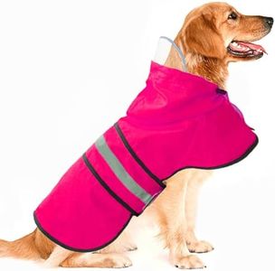 Dog Rainco
