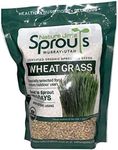 Nature Jims Sprouts Wheatgrass Seed