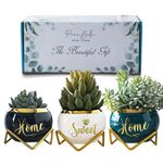 House Warming Gifts New Home, Housewarming Gifts for New House, Best Housewarming Gifts, Home Essentials for New Home Gift Ideas, Living Room Home Decor Farmhouse | 3 Succulent Pots for Plant Lovers