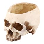 Akozon Open Skeleton Skull Figurine Medium Bowl, Skull Bowl Halloween Skull Head Flower Pot Planter Scene Decoration Candy Bowl Resin Large Flowerpot Set Props for Home Office Desk Decoration