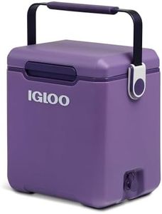 Igloo Tag