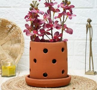 GOLD DUST Orchid Pots, Terracotta Planters - 6 inch, Clay (Pack of 1)