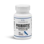 Probiotics for Dogs and Cats - Vet 