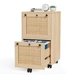 VINGLI 2 Drawer File Cabinet with L