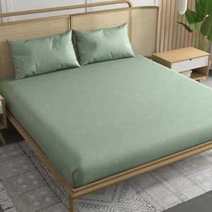 Trance Hom