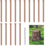 UNIFAMILY 15Pcs Copper Nails for Killing Trees Stump Root, 3.14 Inch Long Pure Copper Nails Bulk with Drill, Stump Removal Spikes Hardware Nails for Trees (15pcs Copper Nails for Trees Stump)