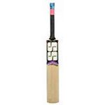 SS Kashmir Willow Leather Ball Cric