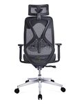 NXTGEN MISURAA Imported Xenon High Back Ergonomic Office & Home Chair with Advanced Synchro Tilt Mechanism, Mesh Seat & Back, Adjustable Seat Depth, Lumbar Support, Arms & Headrest (Black)