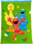 Sesame Street Toddler Blanket - Elm