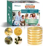 AAwipes Mold Test Kit, 6 Individual