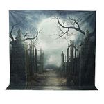 MASUNN 10X10Ft Vinyl Halloween Grave Gate Photography Backdrop Background Studio Prop