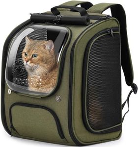 Pecute Cat