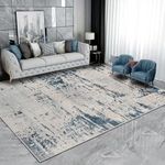 ASIinnsy Mordern Abstract Rug Soft 