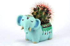 Brotherhood Enterprise Resin Pots Sky Blue Dasara Elephant Planter Add Aesthetic Appeal to Home Or Office Table Gives Look of Lovely Miniature in Cute Pot Imported Without Plant